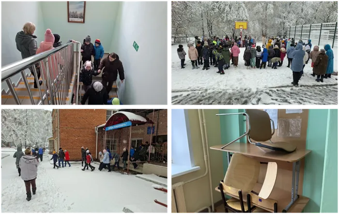 collage (1)